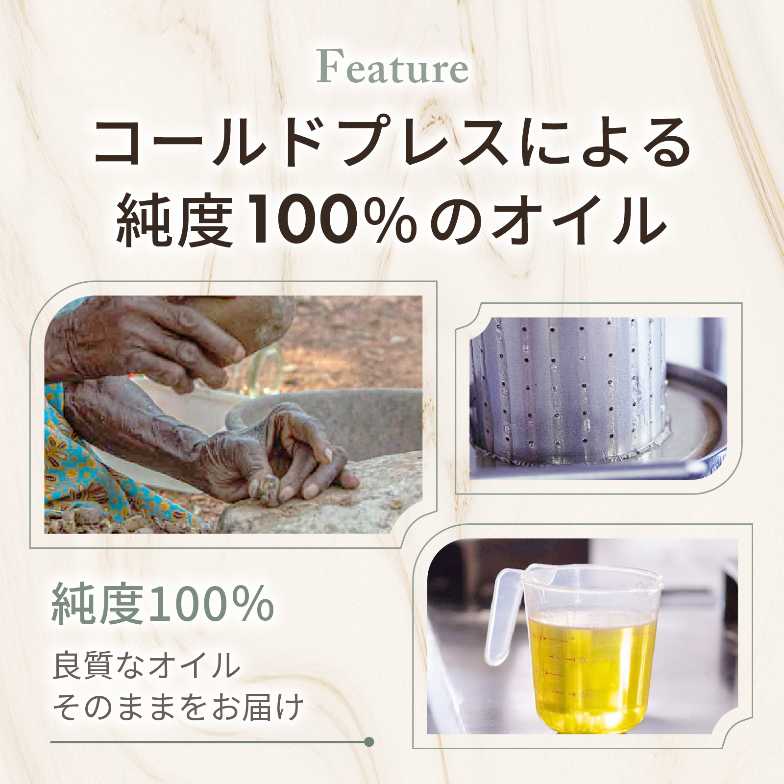 コールドプレスによる純度100％のマルラオイル。手間暇をかけて丁寧に抽出しています。