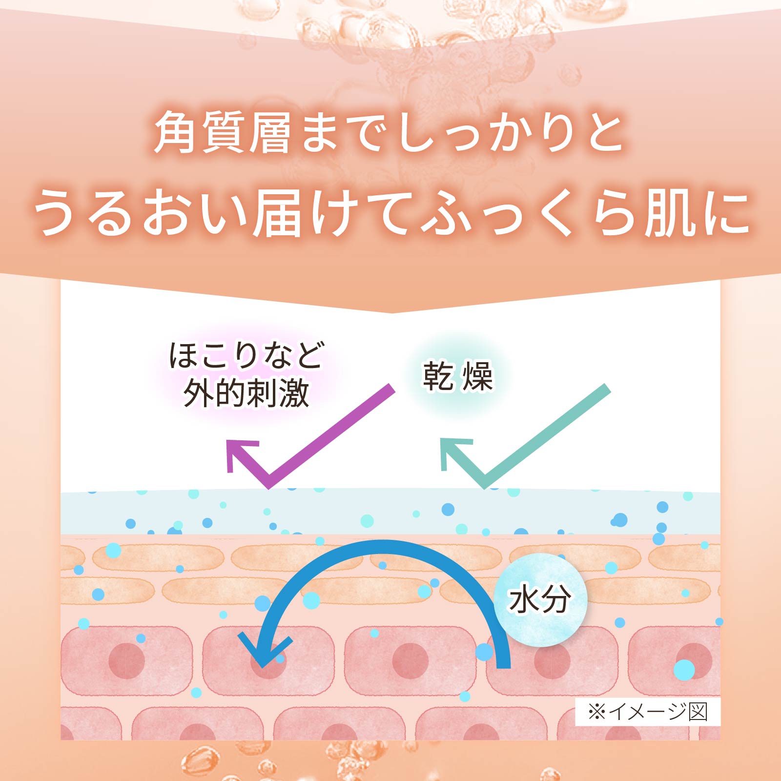 なめらかな乳液がお肌の角質層までしっかりと潤いを届けて、ふっくら肌をキープします